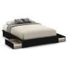 Modern Platform Bed Frame with 2 Storage Drawers