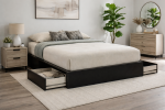 Modern Platform Bed Frame with 2 Storage Drawers