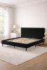 King Black Velvet Upholstered Platform Bed with Headboard
