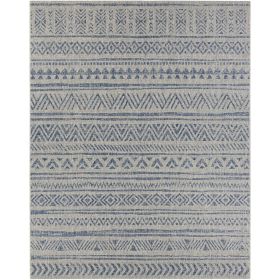2x3 Indoor Outdoor Area Rug Blue Grey Chevron